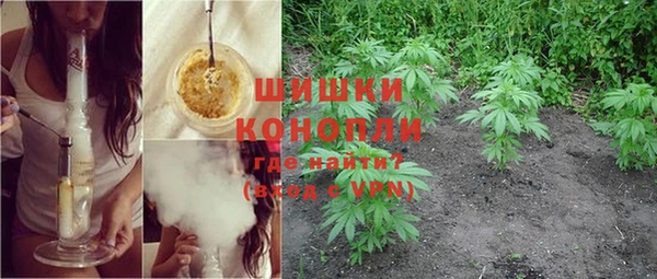 стаф Абаза