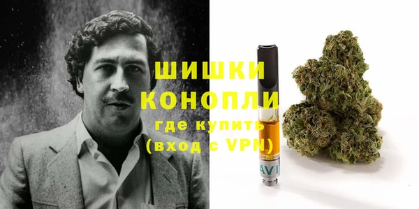стаф Абаза