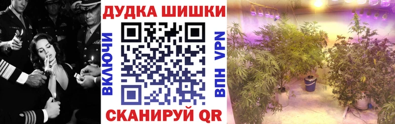 Шишки марихуана White Widow Зеленогорск
